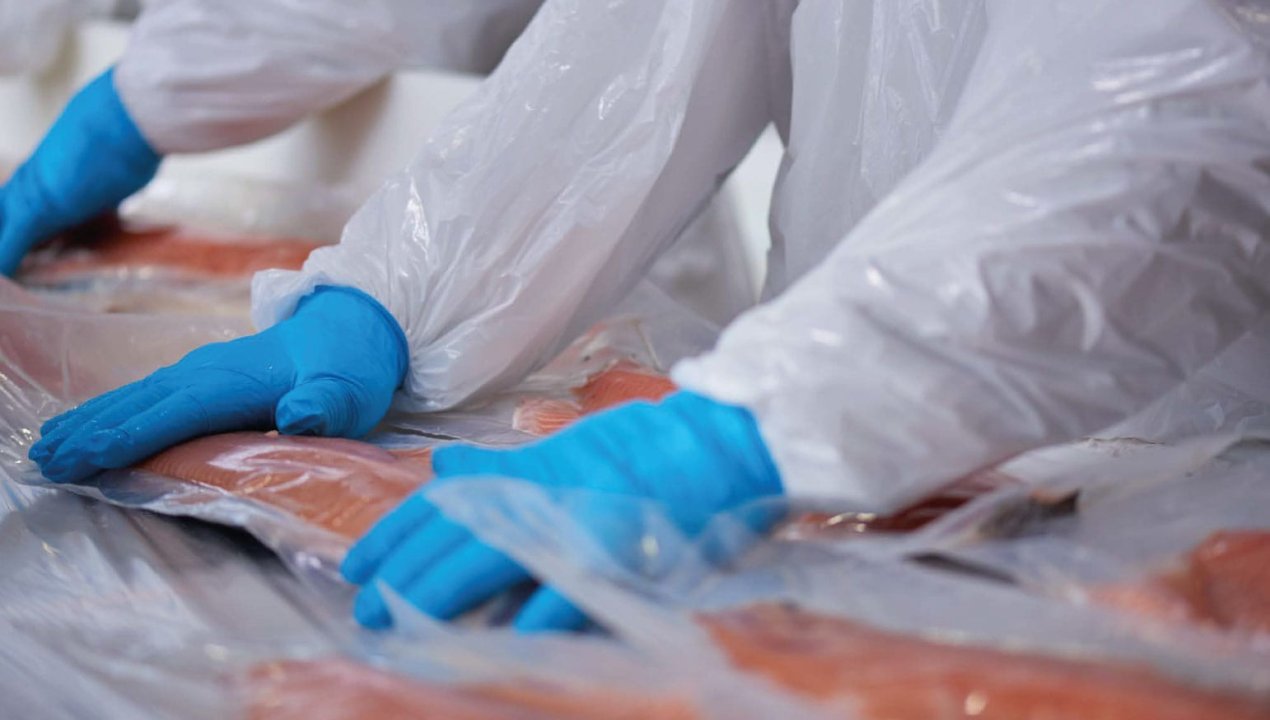 /ingresos-por-exportaciones-de-salmon-chileno-caen-por-segundo-ano
