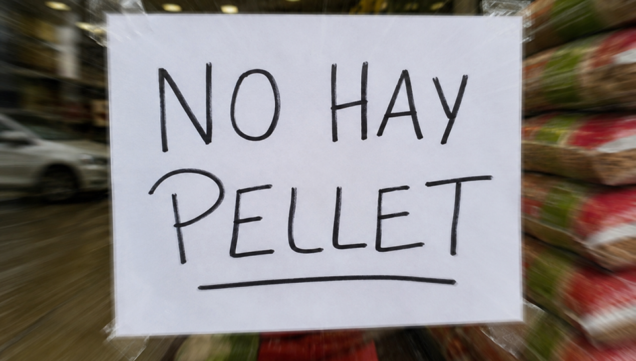 /crisis-pellet-puerto-montt-escasez-largas-filas-invierno